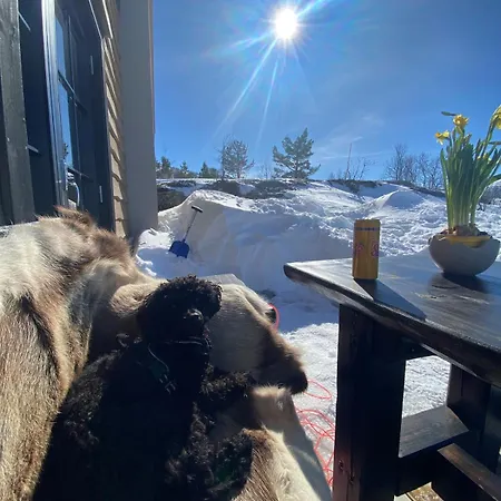 בית נופש Fjellperlen, Hardangervidda איידפיורד