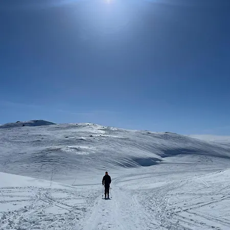 Fjellperlen, Hardangervidda Casa de Férias *