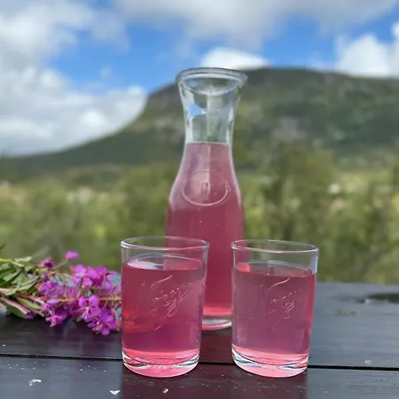 Casa de Férias Fjellperlen, Hardangervidda