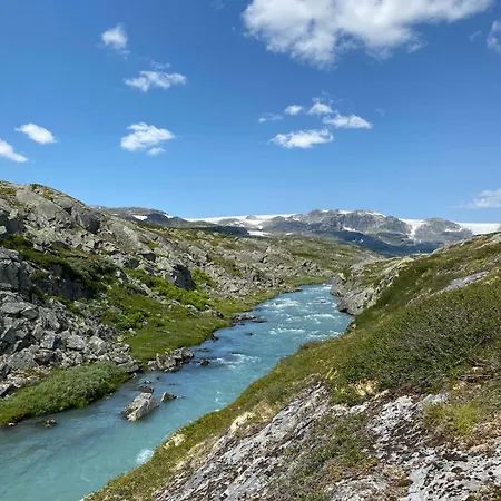 Fjellperlen, Hardangervidda בית נופש איידפיורד