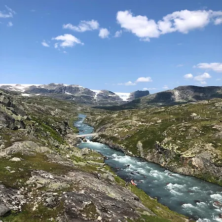 בית נופש Fjellperlen, Hardangervidda איידפיורד