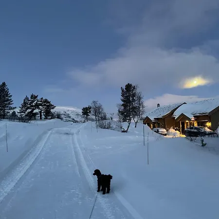 Fjellperlen, Hardangervidda בית נופש