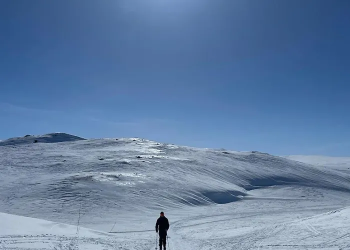 Fjellperlen, Hardangervidda Casa vacanze *