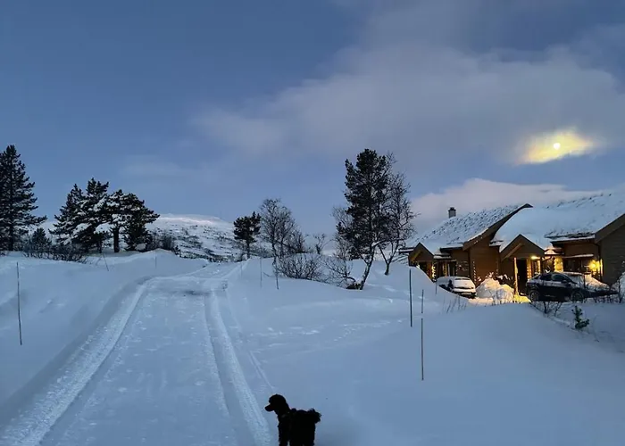 Fjellperlen, Hardangervidda Casa vacanze